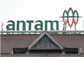افت 27 درصدی تولید نیکل شرکت Antam اندونزی