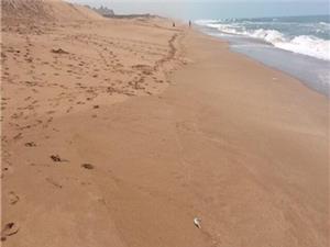 اجرای طرح تحول زمین‌شناسی دریایی در سواحل مکران از مهرماه